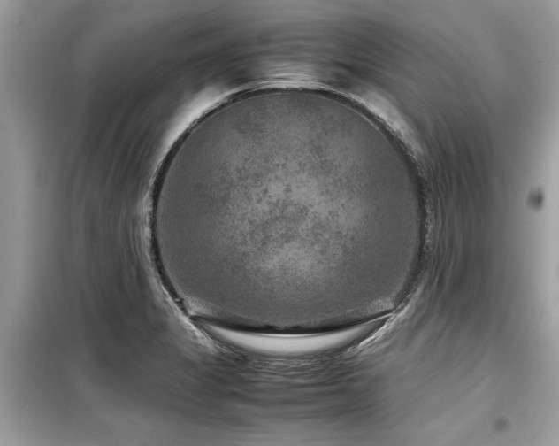 X0000099571325200805161508