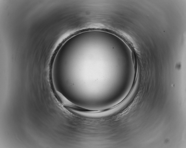 X0000099571326200805161508