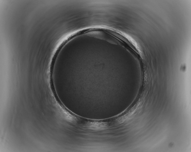 X0000099571327200805161508