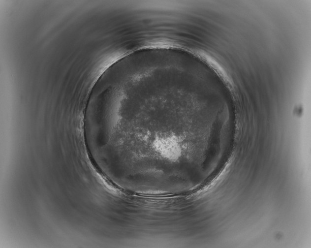 X0000099571329200805161508