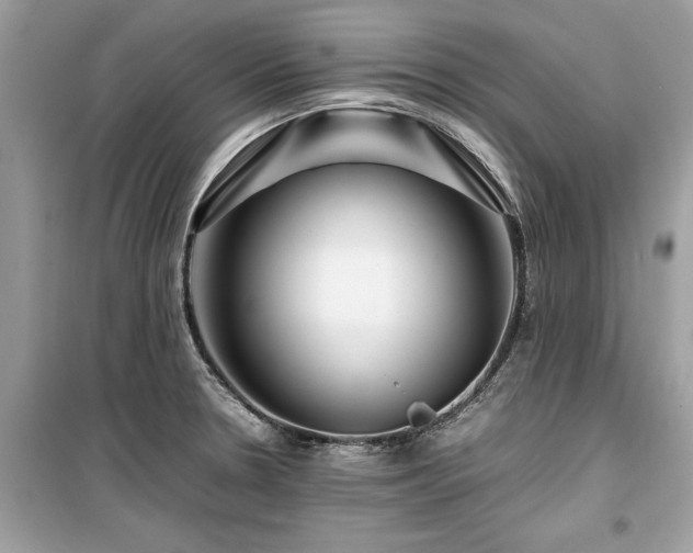 X0000099571330200805161508