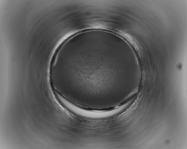 X0000099571331200805161508