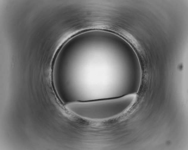 X0000099571332200805161508