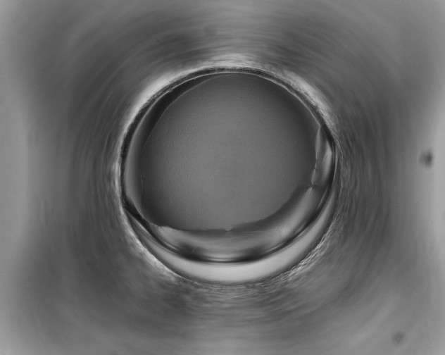X0000099571334200805161508