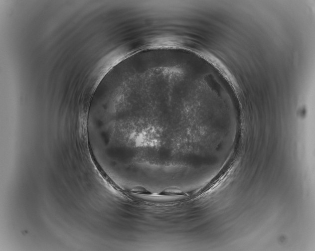 X0000099571337200805161508