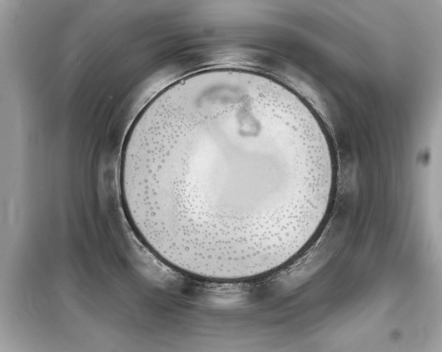 X0000099571338200805161508