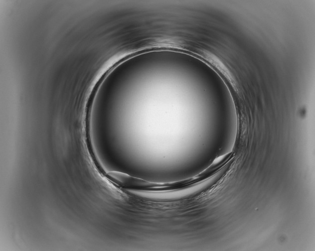 X0000099571339200805161508