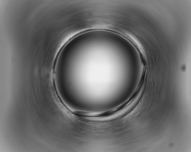 X0000099571340200805161508