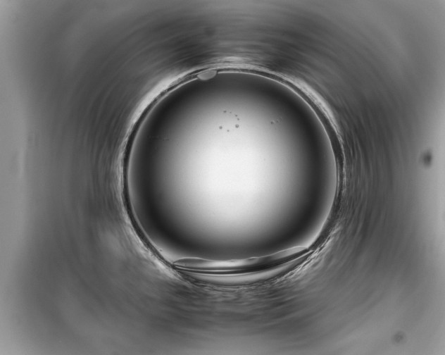 X0000099571341200805161508