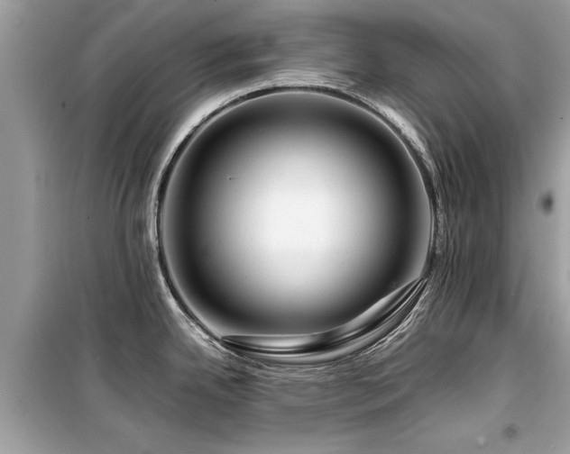 X0000099571342200805161508