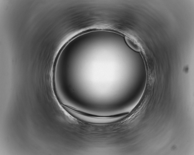 X0000099571343200805161508