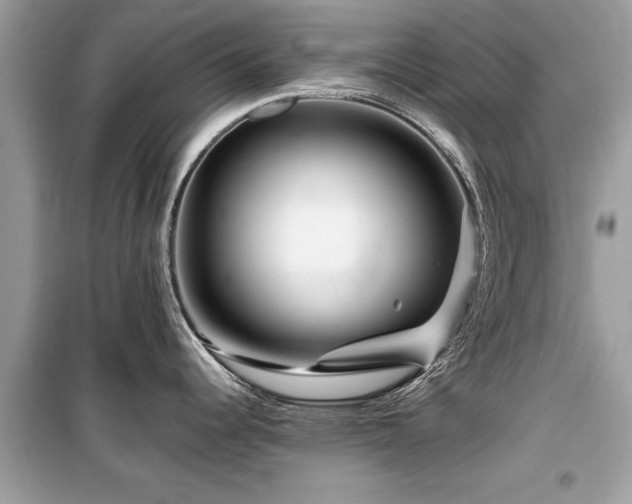 X0000099571344200805161508