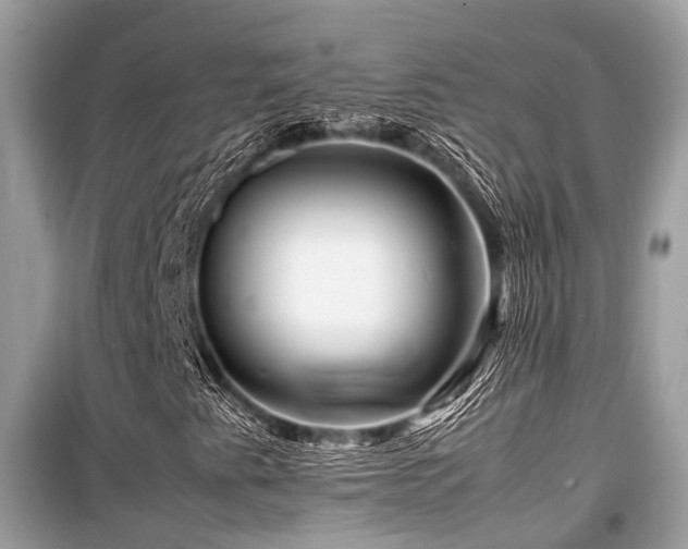 X0000099571345200805161507