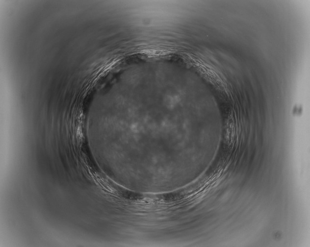 X0000099571346200805161507