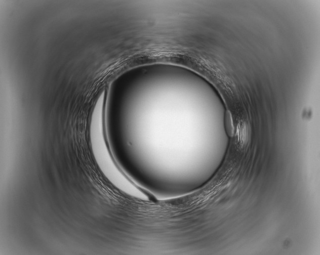 X0000099571348200805161507