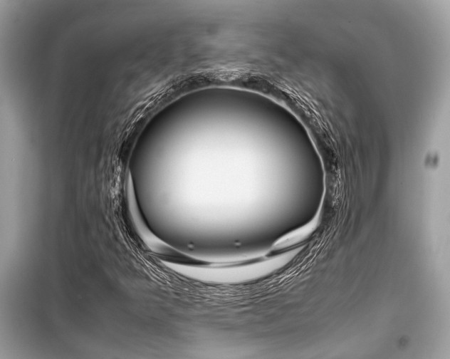X0000099571349200805161507