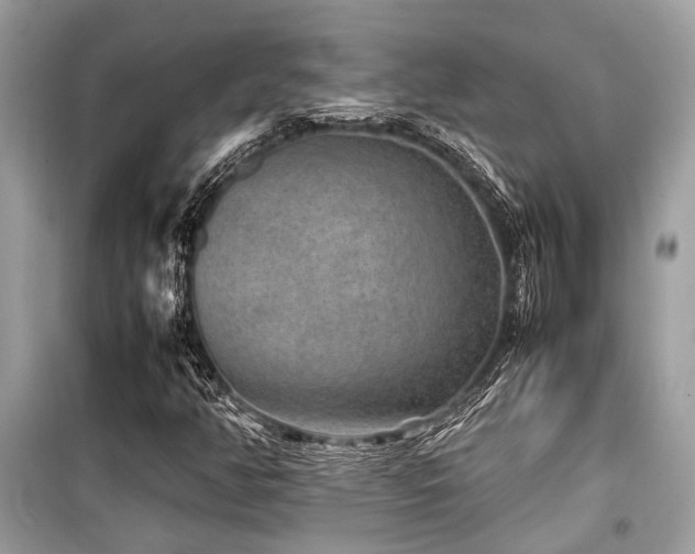 X0000099571350200805161507