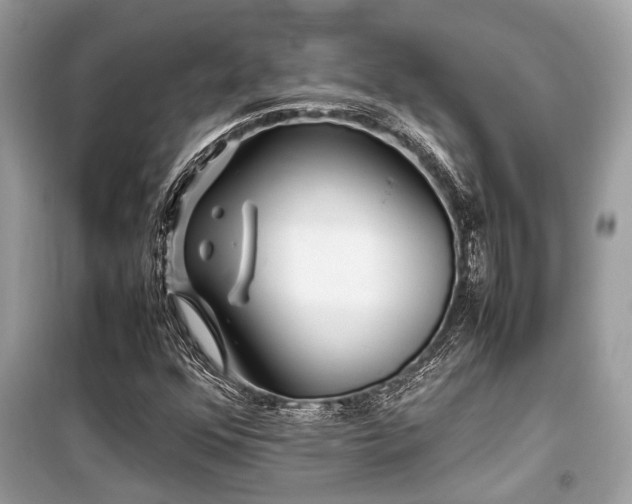 X0000099571352200805161507