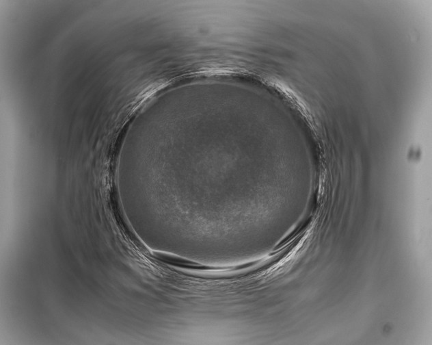 X0000099571353200805161507