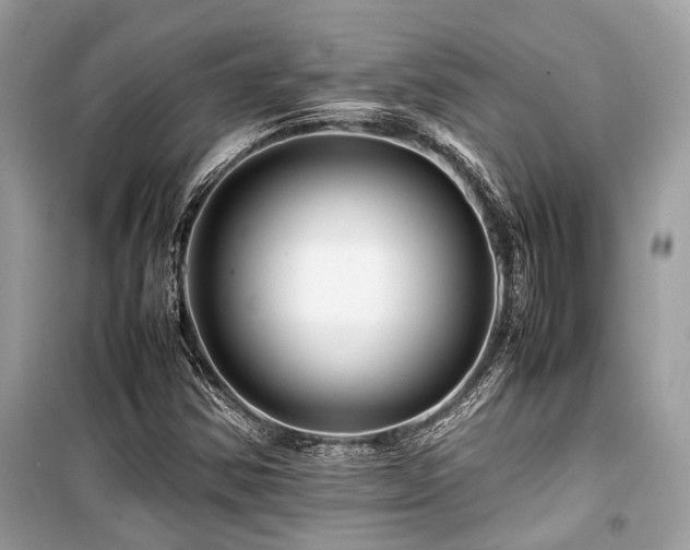 X0000099571354200805161507