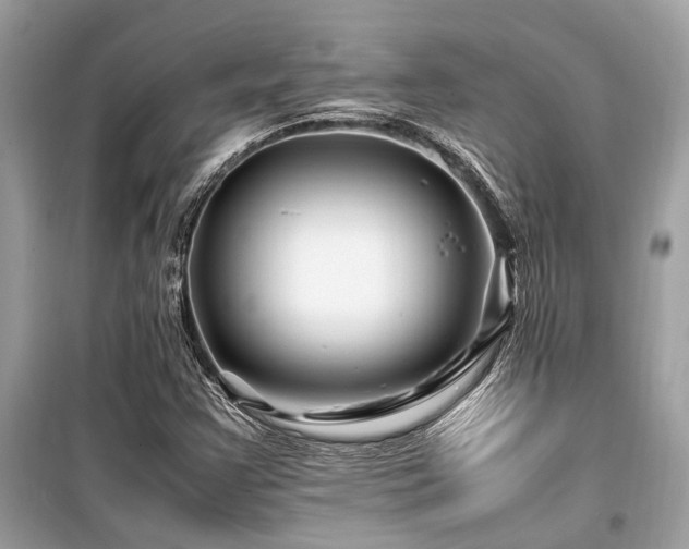 X0000099571355200805161507