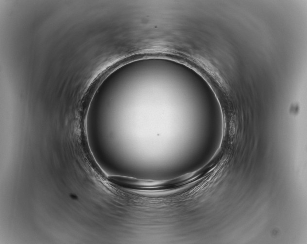 X0000099571356200805161507