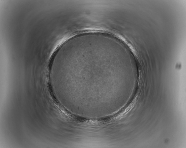 X0000099571357200805161507