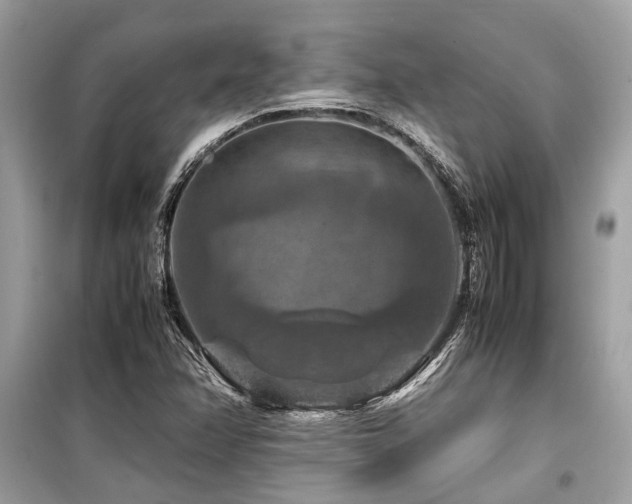 X0000099571358200805161507