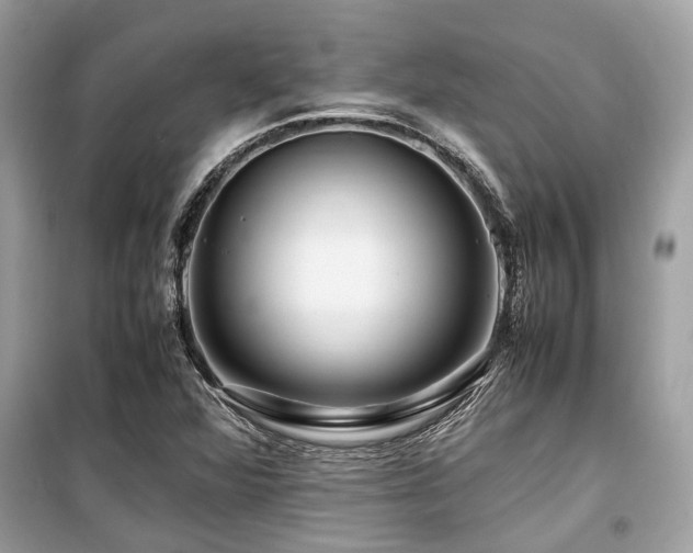 X0000099571360200805161507