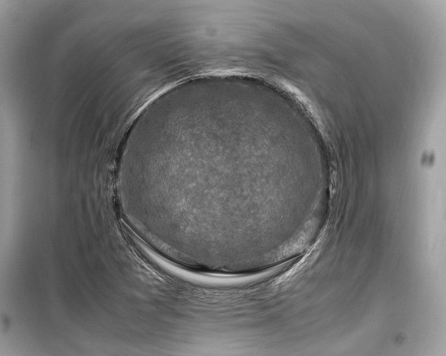 X0000099571361200805161507