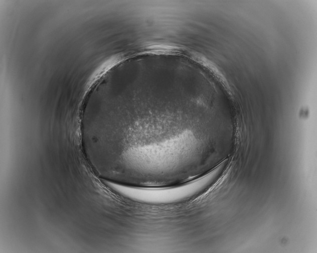 X0000099571362200805161507