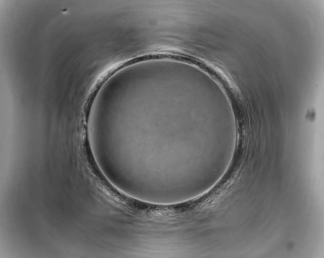 X0000099571363200805161507