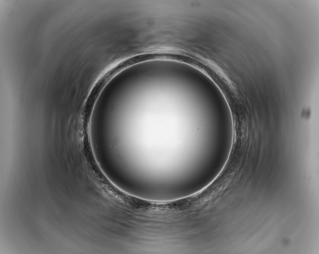X0000099571364200805161507
