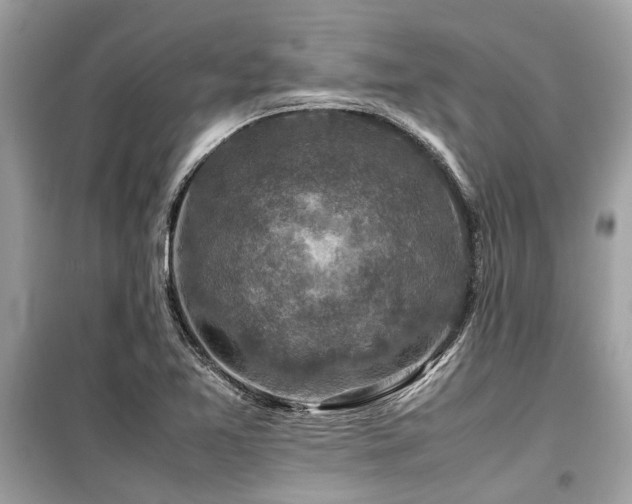 X0000099571365200805161507