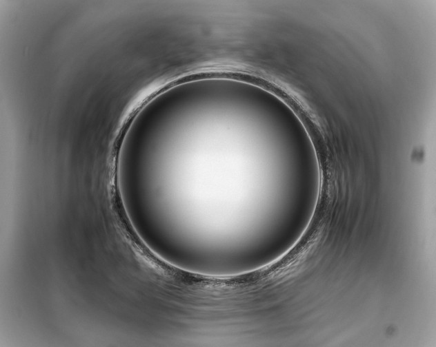 X0000099571366200805161507