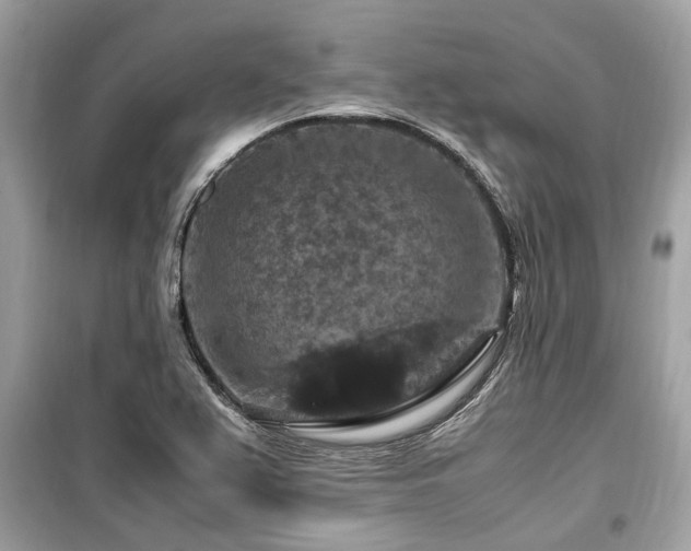 X0000099571367200805161507