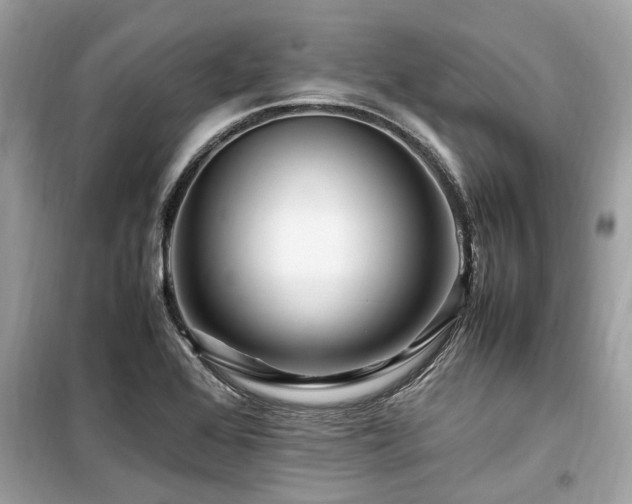 X0000099571368200805161507
