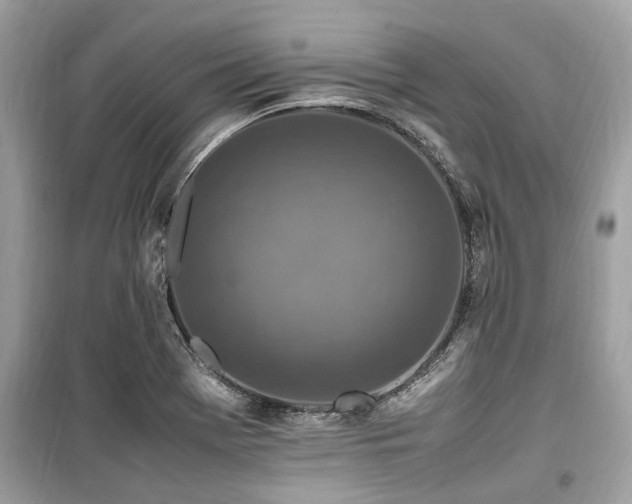X0000099571369200805161507
