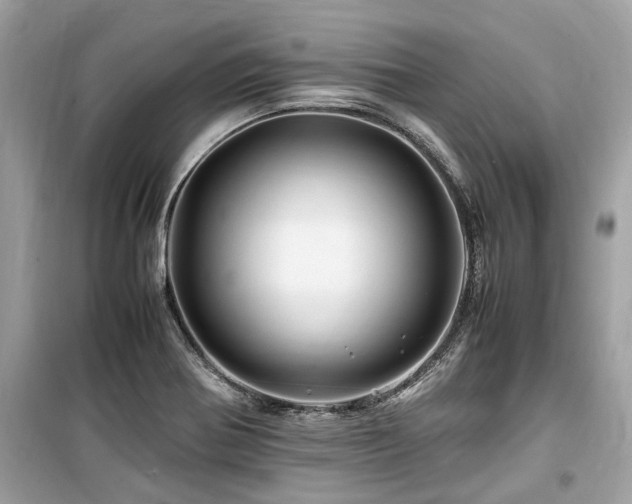 X0000099571370200805161507
