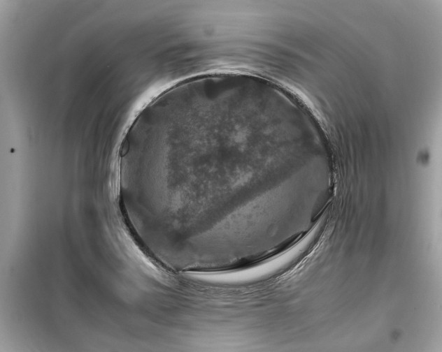 X0000099571371200805161507