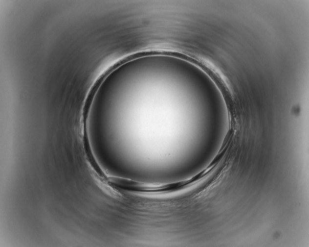 X0000099571372200805161507