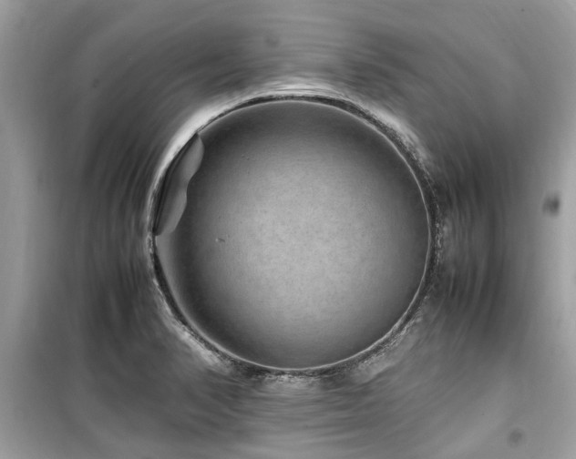 X0000099571374200805161507