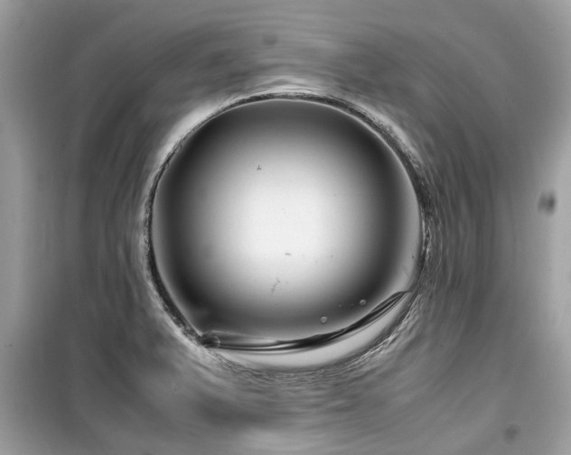 X0000099571375200805161507
