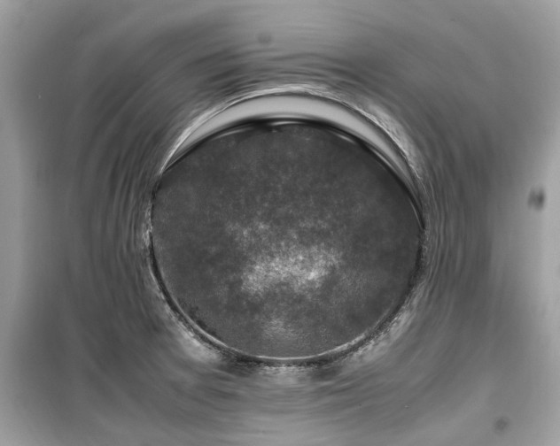 X0000099571377200805161507