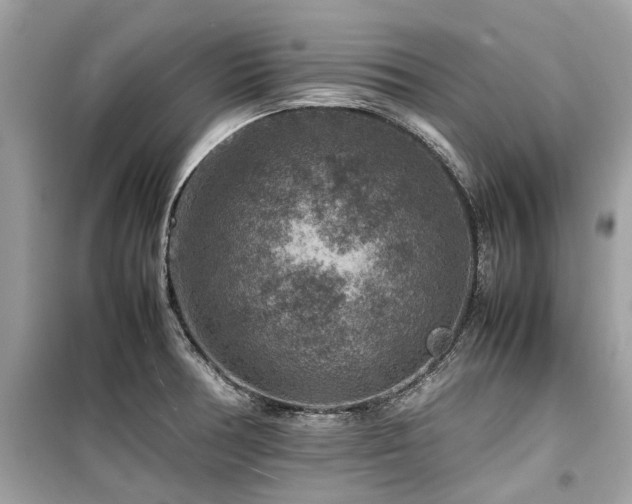 X0000099571378200805161507