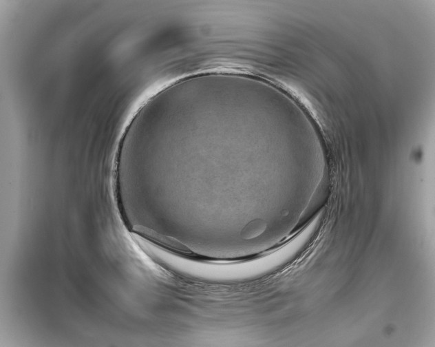 X0000099571379200805161507
