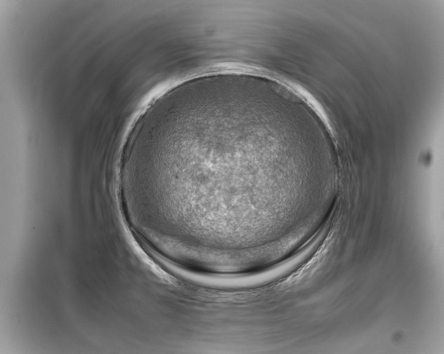 X0000099571381200805161507