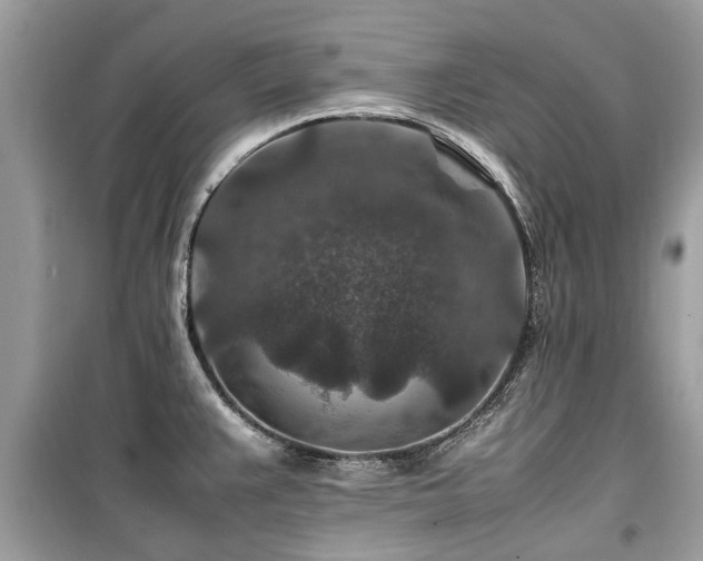 X0000099571383200805161507