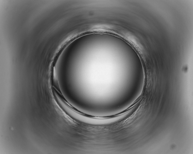 X0000099571384200805161507