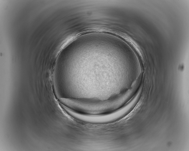 X0000099571385200805161507